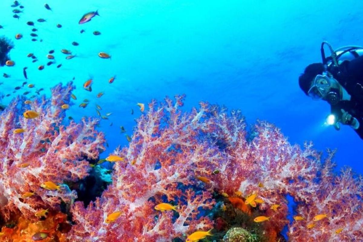 egypt sharm el sheikh excursions – Discover Egypt with VIPSharm