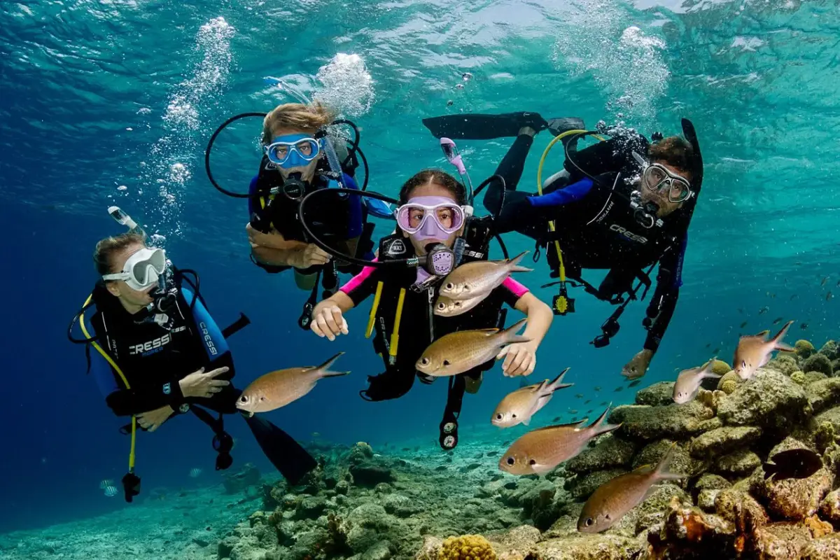 Sharm Diving The Ultimate Red Sea Adventure for Every Diver