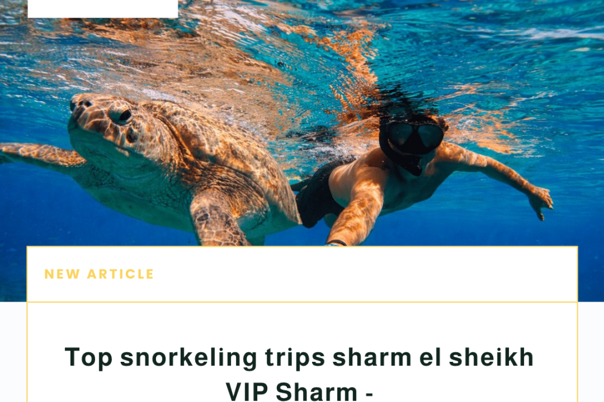 Top snorkeling trips sharm el sheikh - VIP Sharm