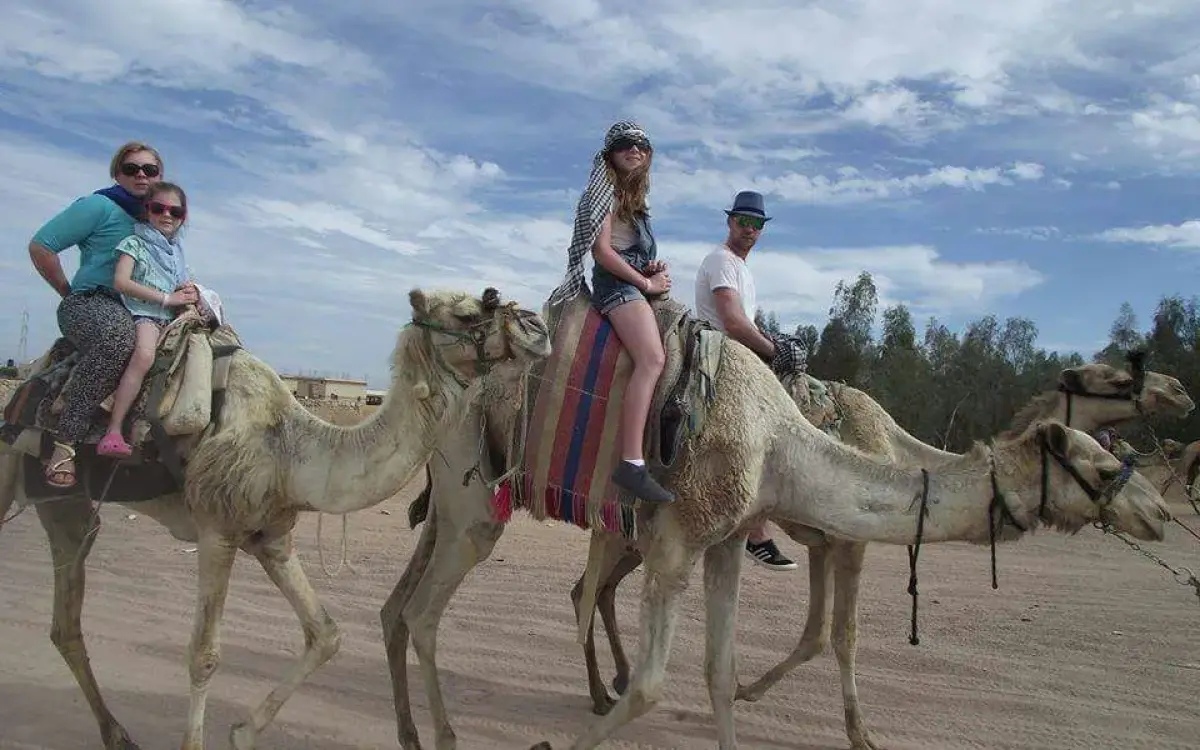 Camel Riding Safari Trip in Sharm el sheikh