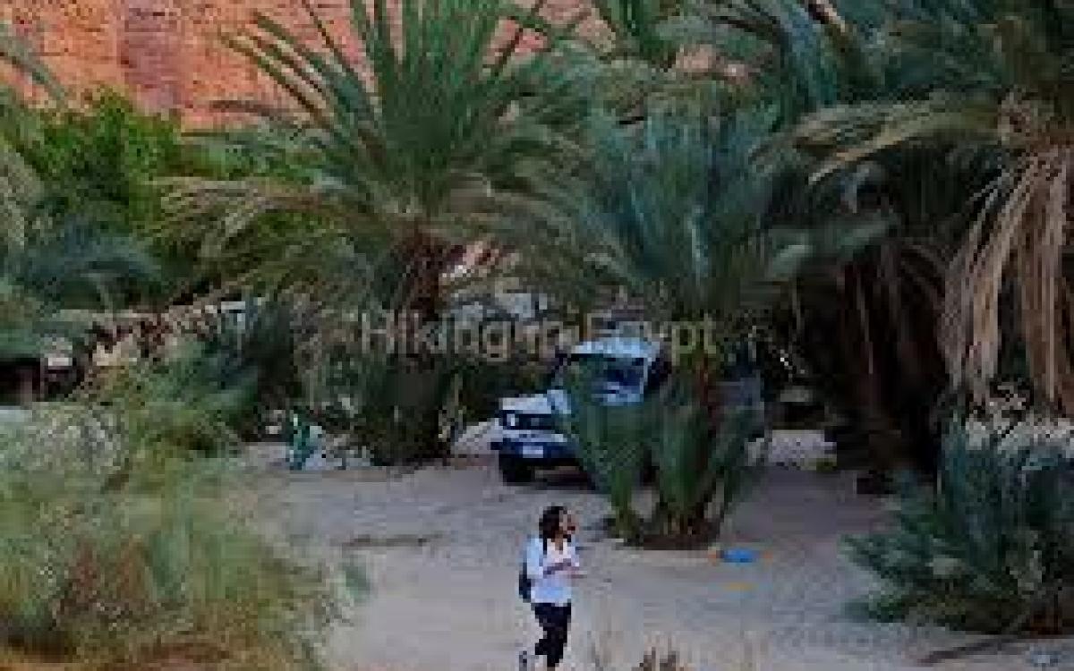 Private White Canyon Jeep Safari And Dahab